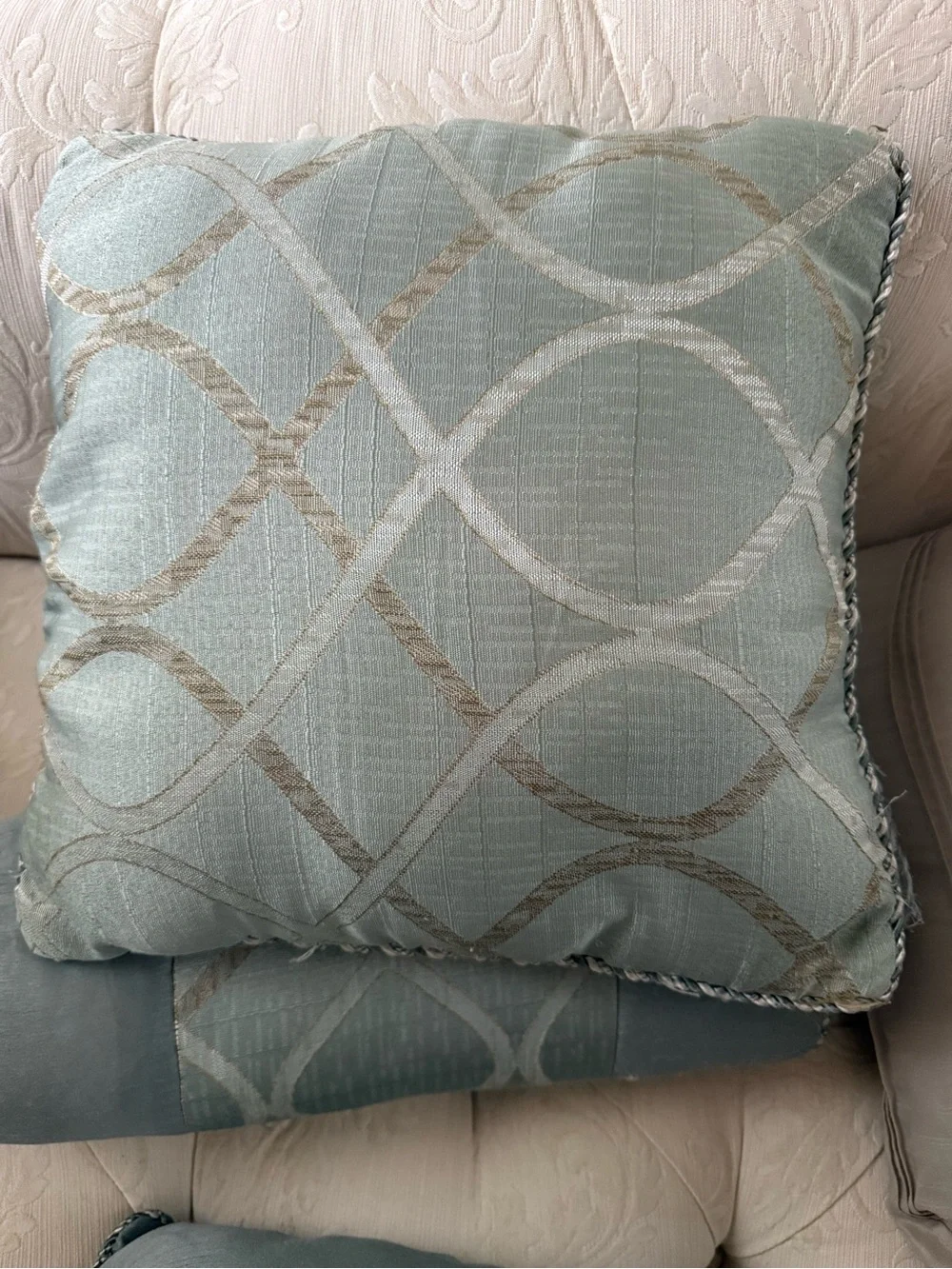 Decorative Sage Green Throw Pillow Set by